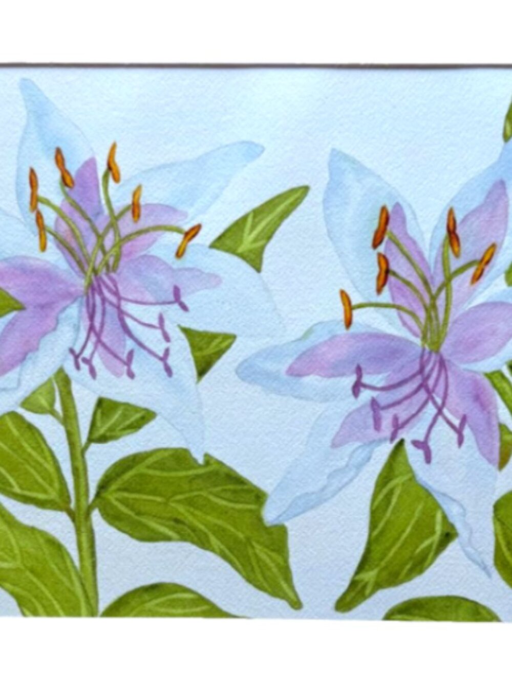 PAINTING WATERCOLOR FLOWER LILY BLUE PURPLE 11X14 & MAT 16X20 ORIGINAL ART